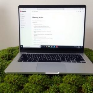 Meeting Moss Notes